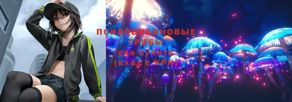 эйфоретик Алзамай