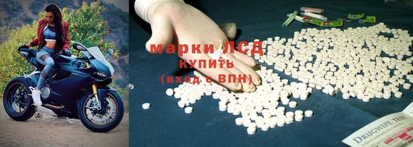 эйфоретик Алзамай