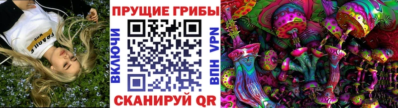 Псилоцибиновые грибы Psilocybe  сколько стоит  mega как зайти  Нижний Ломов 